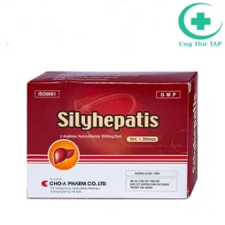 Silyhepatis 1000mg/5ml Cho-A Pharm - Điều trị tăng amoniac máu