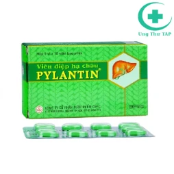 Viên diệp hạ châu PYLANTIN - Hỗ trợ điều trị viêm gan