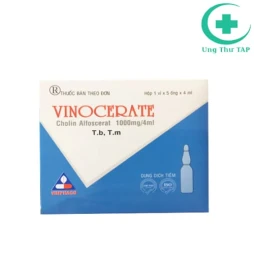 Vinocerate 1g/4ml Vinphaco - Thuốc điều trị bệnh Alzheimer