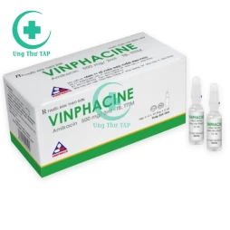 Vinphacine 500mg/2ml - Thuốc điều trị nhiễm khuẩn nặng