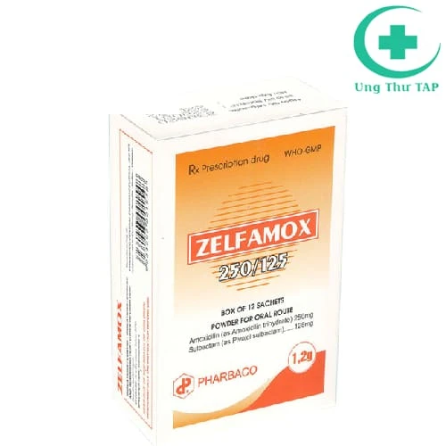 Zelfamox 250/125 Pharbaco - Thuốc điều trị viêm, nhiễm khuẩn