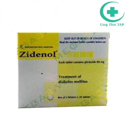 Zidenol 80mg - Thuốc điều trị bệnh tiểu đường chất lượng