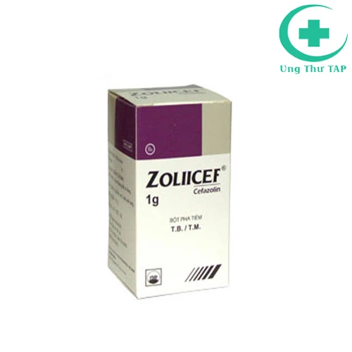 Zoliicef 1g Pymepharco - Thuốc điều trị nhiễm khuẩn huyết